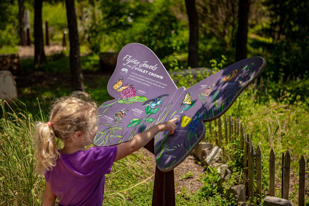 Butterfly Garden