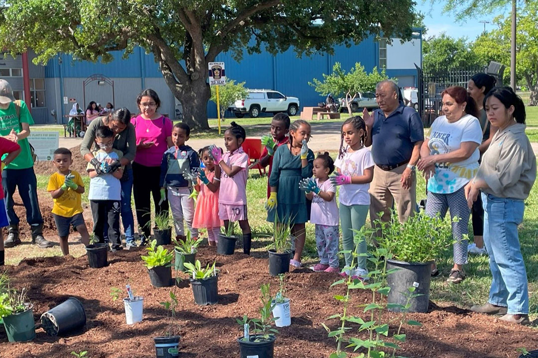 People planting